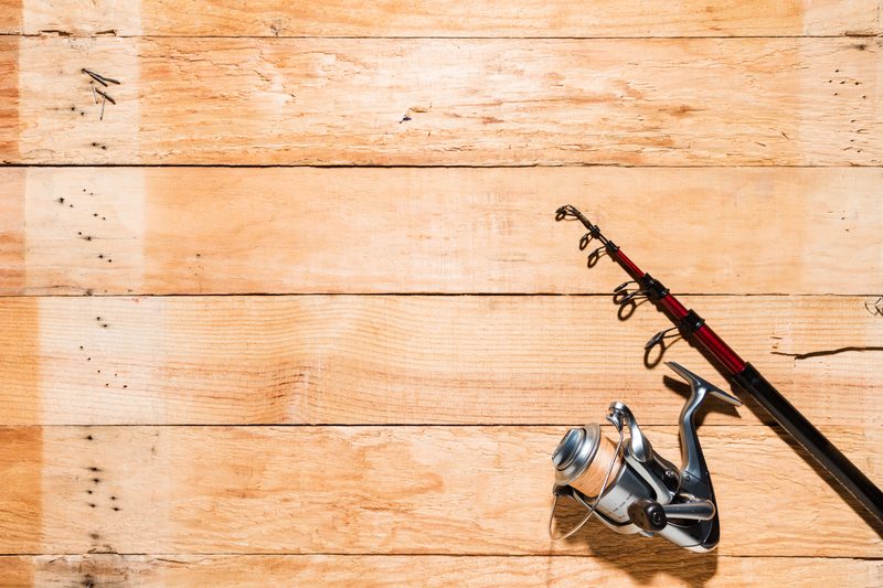 Fishing rod and reel combo, photo 1
