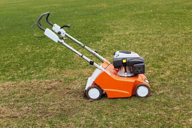 Electric lawnmower with spare battery, photo 1